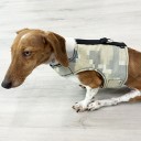 Easyfit Dog Harness - Size M